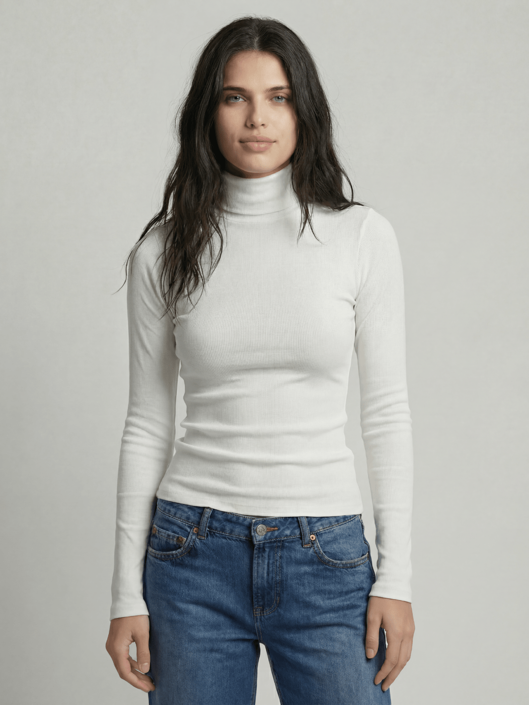 Ribbed Turtleneck - Public Veil