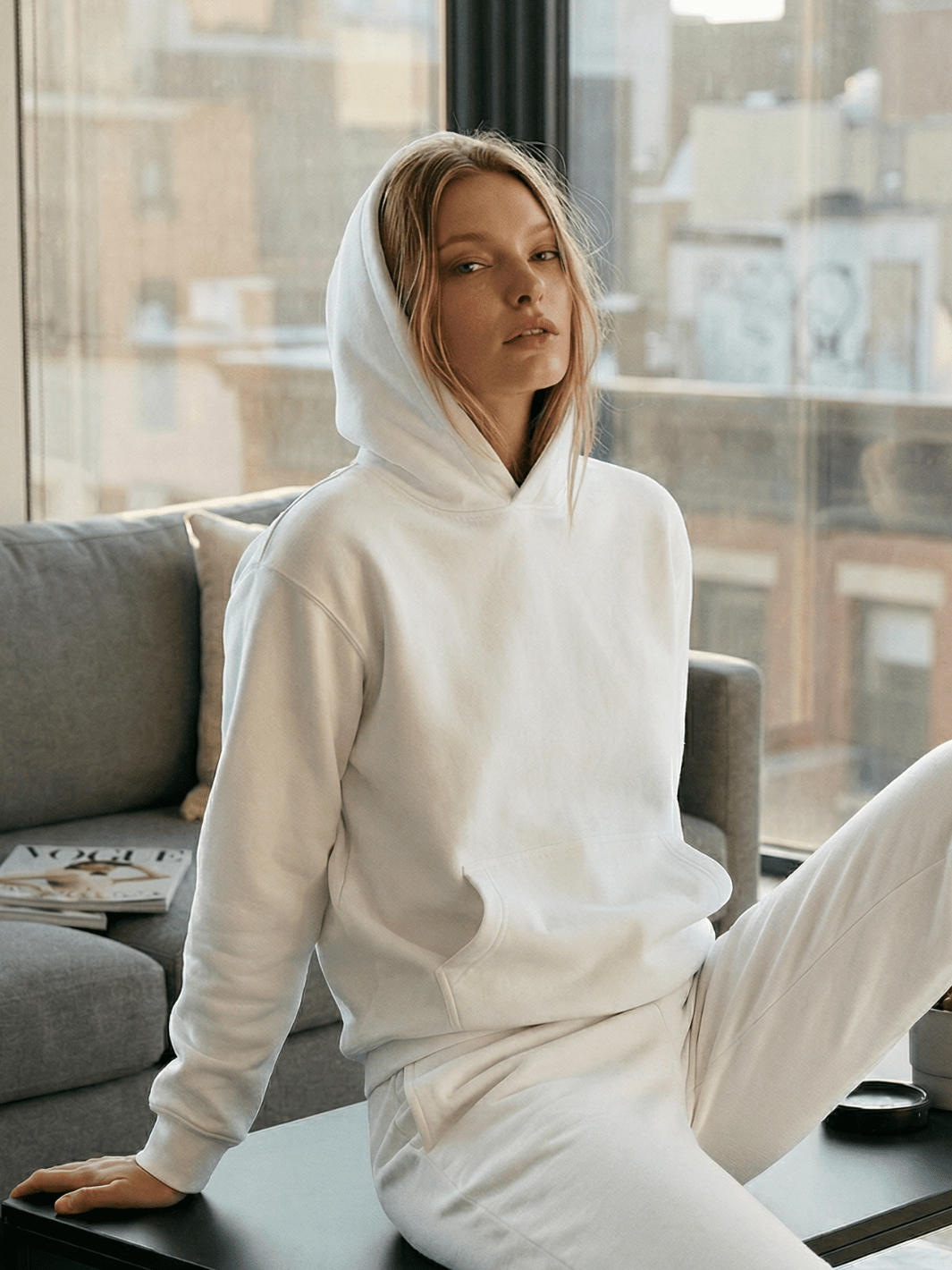 Standard Hoodie - Public Veil